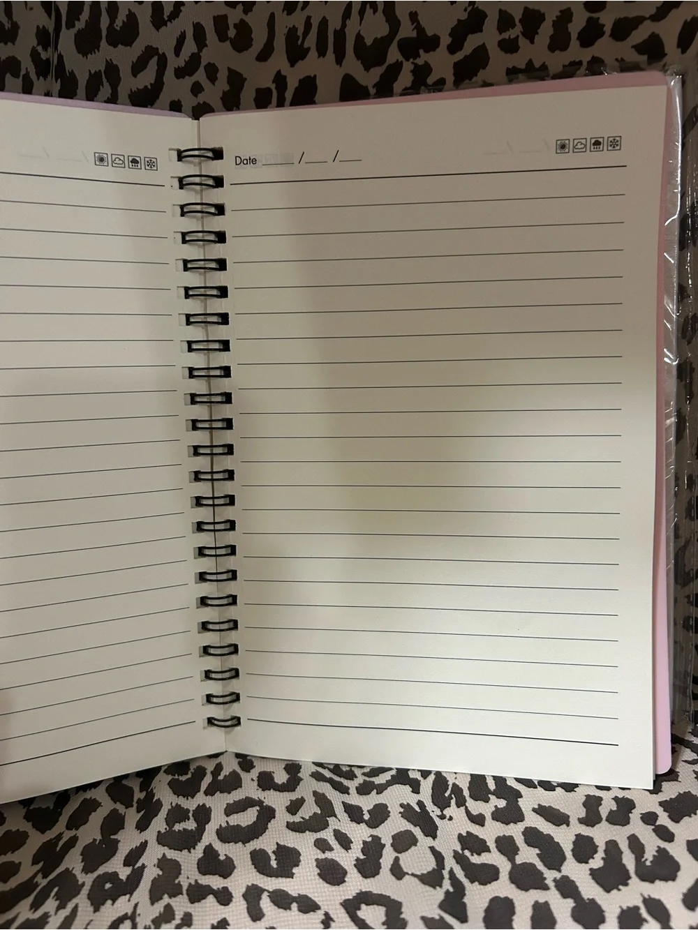 “Little Girl” Journals